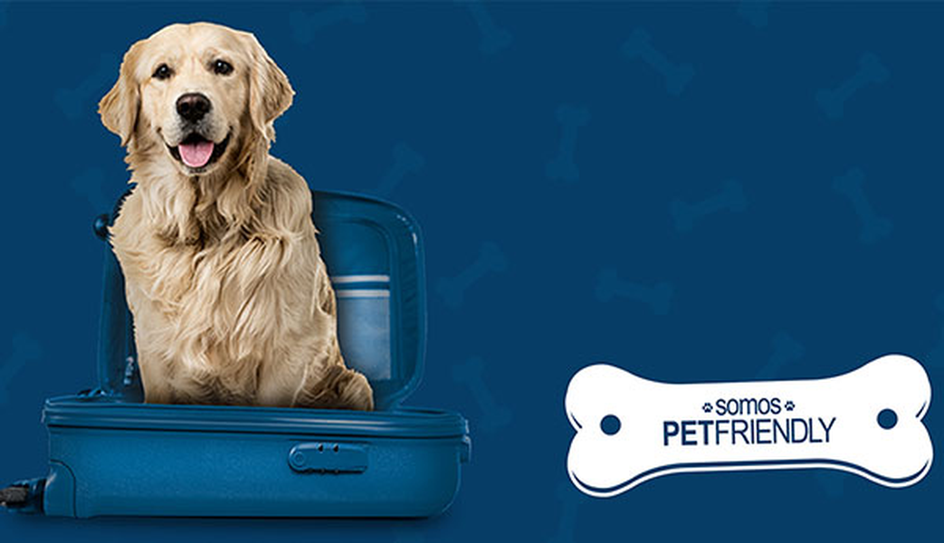 ¿quieres viajar con tu mascota? Hotel ILUNION San Sebastián