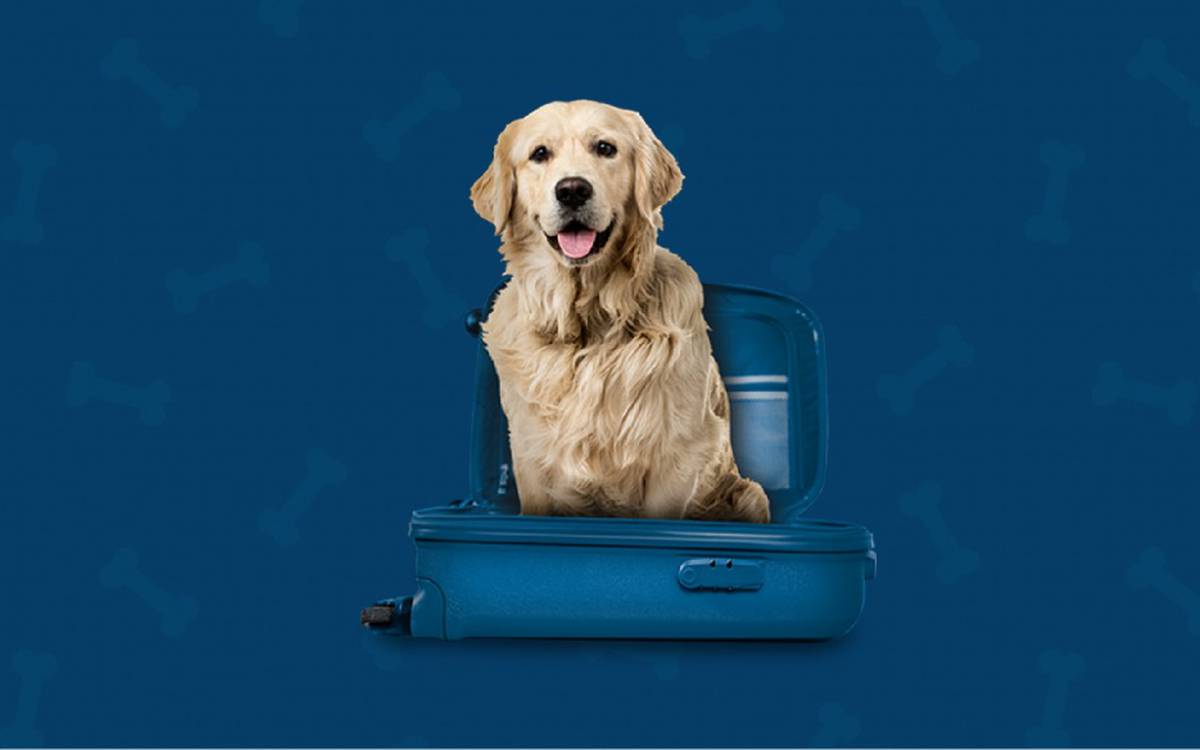 Somos pet friendly Hotel ILUNION San Sebastián Somos pet friendly Hotel ILUNION San Sebastián